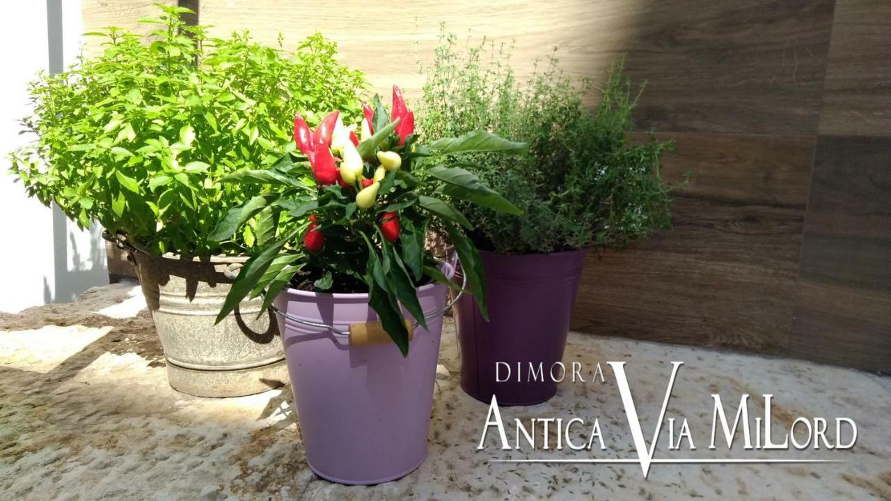 Dimora Antica Via Milord Vila Monopoli Exterior foto